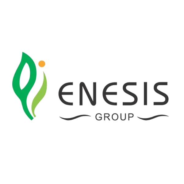 Enesis Group logo